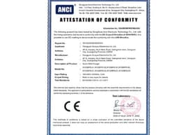 CE 45W Certificate - Lirui Electronics Charger Certification