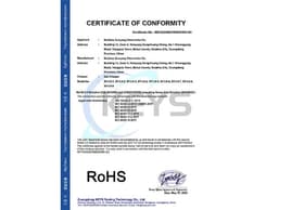 RoHS Certificate - Lirui Electronics Charger Certification